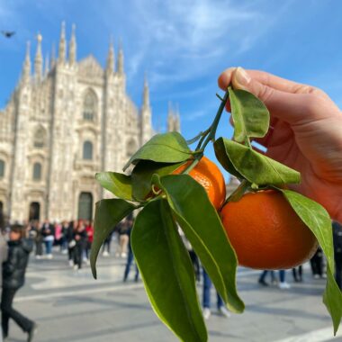 Niezapomniane smaki wiosny we Włoszech: Oliwa, cytrusy i sycylijska czekolada